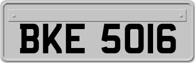 BKE5016
