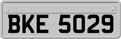 BKE5029