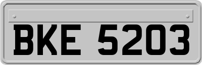 BKE5203