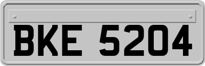 BKE5204