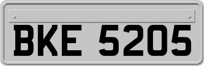 BKE5205