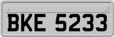 BKE5233