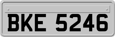 BKE5246