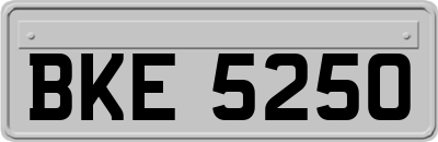 BKE5250
