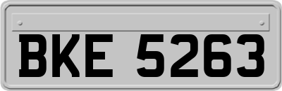BKE5263
