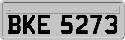 BKE5273