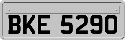 BKE5290
