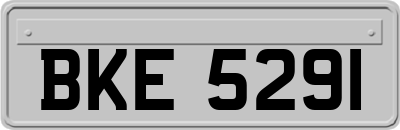 BKE5291