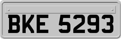 BKE5293