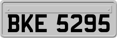 BKE5295