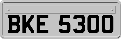 BKE5300