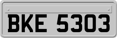 BKE5303
