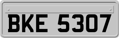 BKE5307