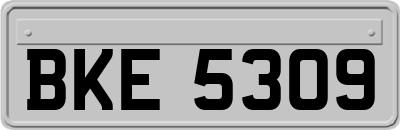 BKE5309