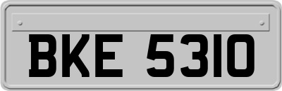 BKE5310