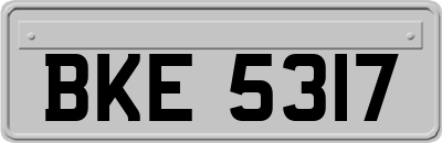 BKE5317