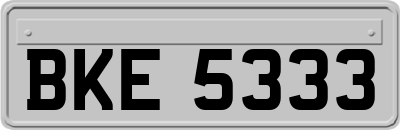 BKE5333