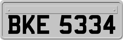 BKE5334