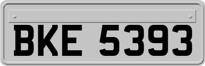 BKE5393