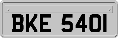 BKE5401