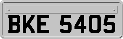 BKE5405