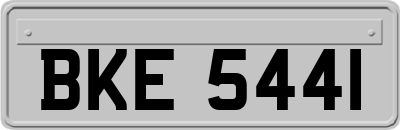 BKE5441
