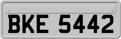BKE5442
