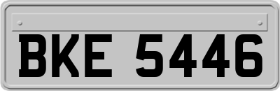 BKE5446