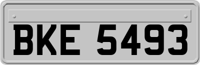 BKE5493