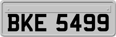 BKE5499