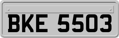 BKE5503