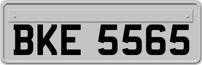 BKE5565