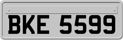 BKE5599