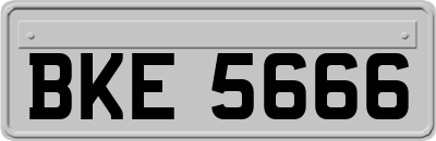 BKE5666
