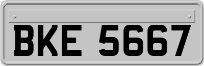 BKE5667