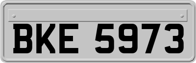 BKE5973