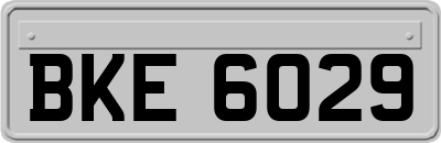 BKE6029