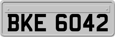 BKE6042