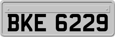 BKE6229