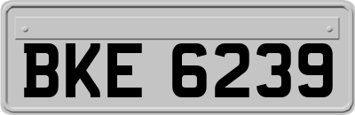 BKE6239