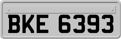 BKE6393