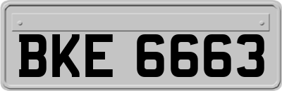BKE6663