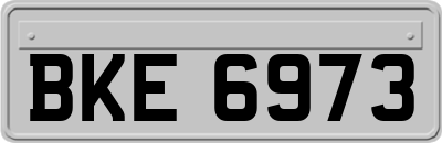 BKE6973