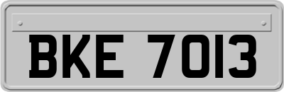 BKE7013