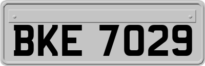 BKE7029