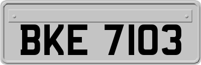 BKE7103