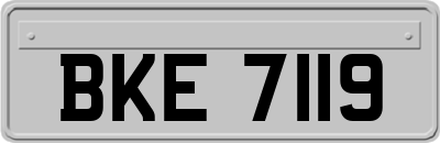 BKE7119
