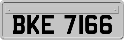 BKE7166