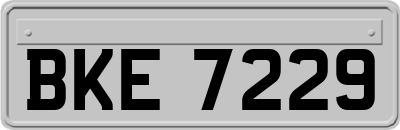 BKE7229