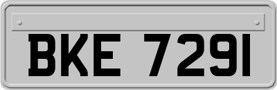 BKE7291